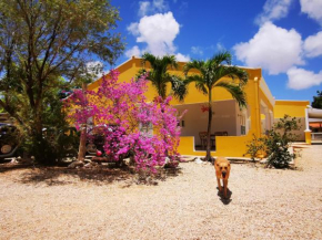 Гостиница Roadrunner-Bonaire  Кралендейк